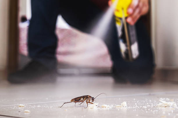 Best Commercial Pest Control Services  in Houserville, PA